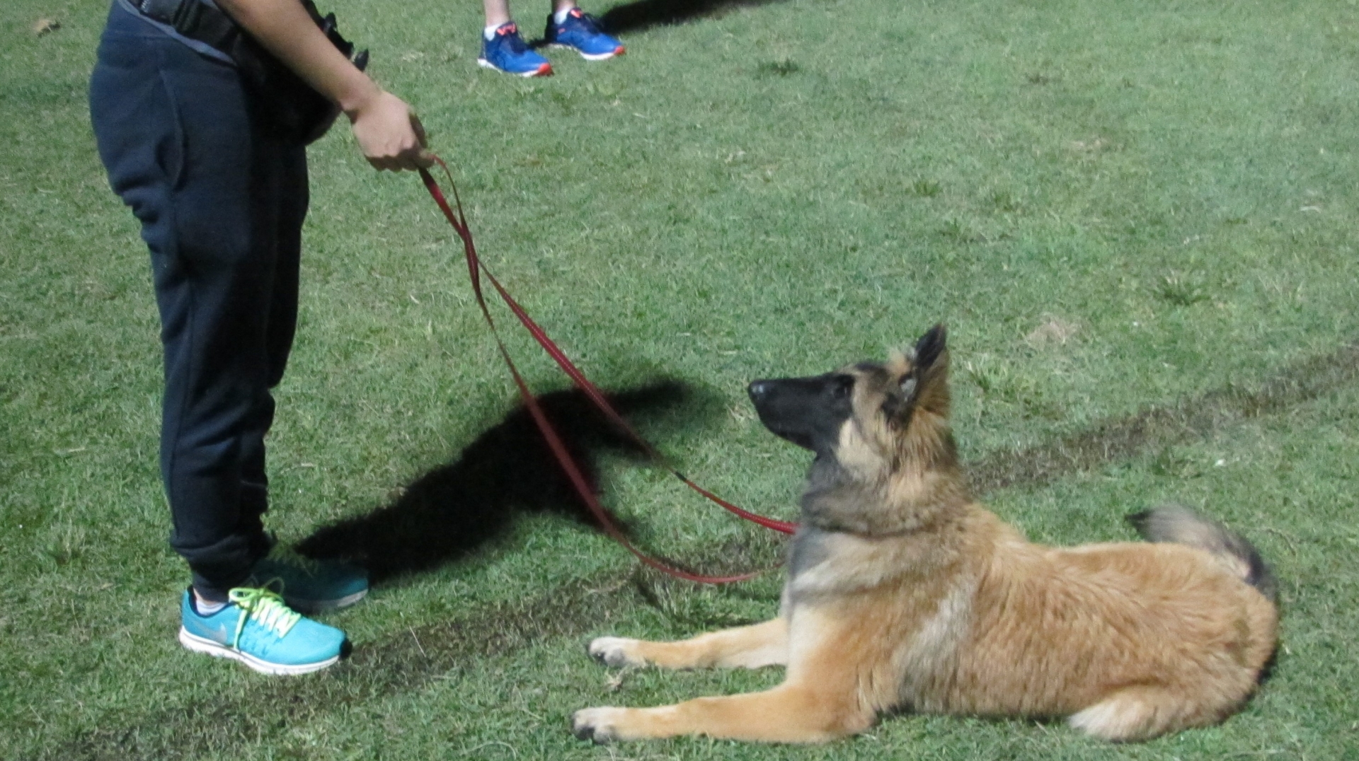 Joining Our Club Is Easy