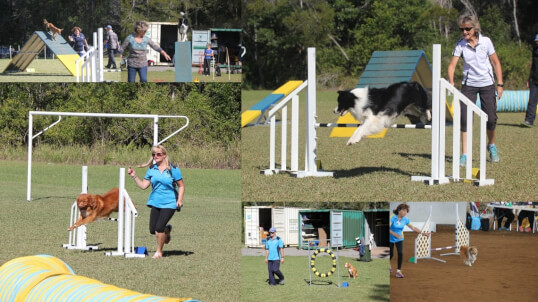 Port Macquarie Dog Club Obedience, Agility and Competitive Dog Training