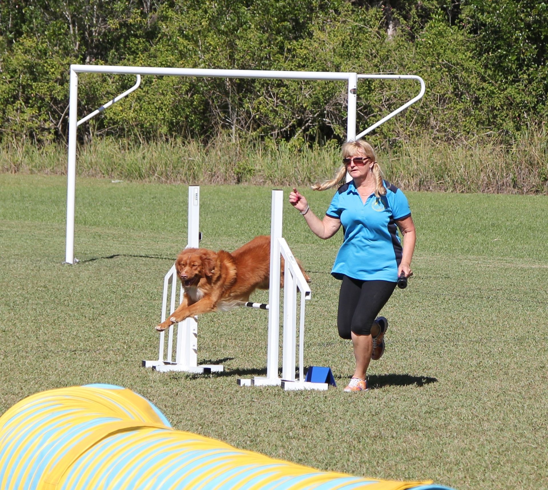Agility Training