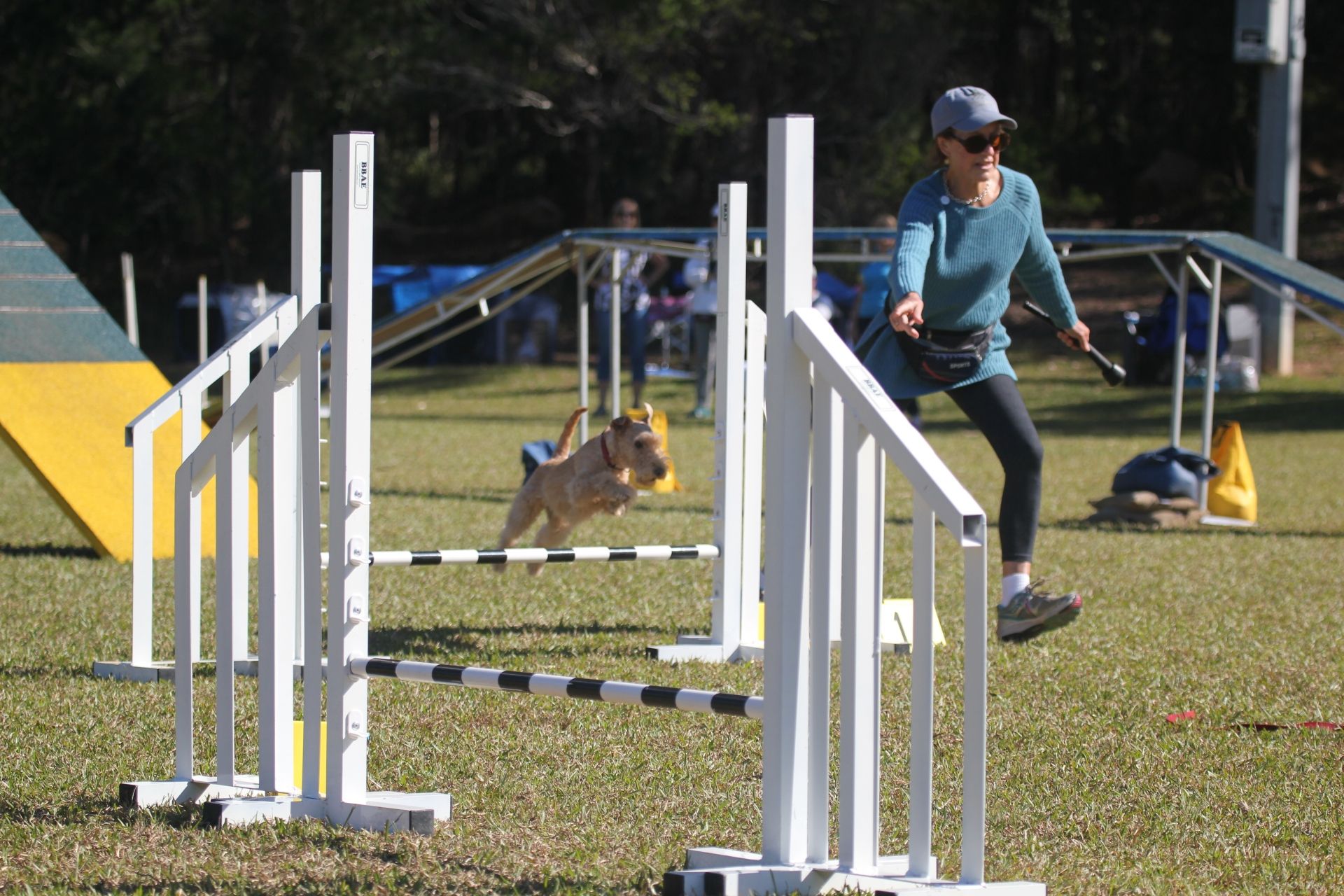 Competitions &amp; Events