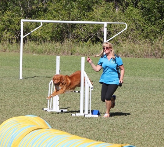 Port Macquarie Dog Club Obedience, Agility and Competitive Dog Training--
