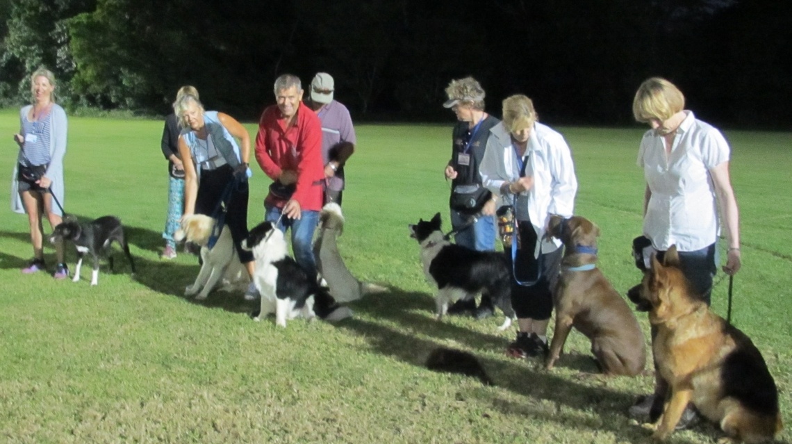 Our Obedience Classes--